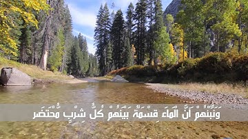 تلاوة خاشعة: سورة القمر - القارئ الشيخ فضل هاشم سيف النصر