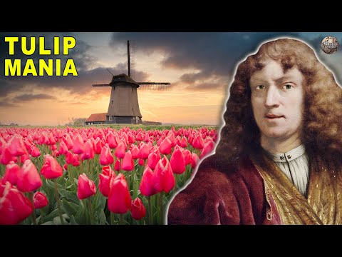 Vidéo: Schrenk Tulip: description et lieu de croissance. Quelle est la différence entre une tulipe Schrenk et une tulipe Bieberstein ?