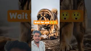 Dog Vs Fight Last Winner