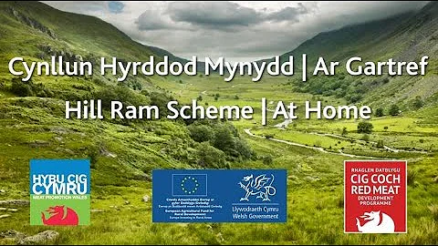 Hill Ram Scheme at home