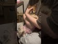 バブを極めし5歳 #ポメハゲ #ポメラニアン #癒し