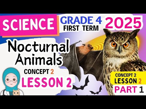 Science Grade 4 Concept 2 Lesson 2 Nocturnal Animals ساينس سنه رابعه المنهج الجديد 2025 Science Grade 4 Concept 2 Lesson 2 Nocturnal Animals ساينس سنه رابعه المنهج الجديد 2025