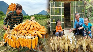 Single mother: Harvests and preserves corn - Grandfather built a cage to raise Ducklings \&Daily life