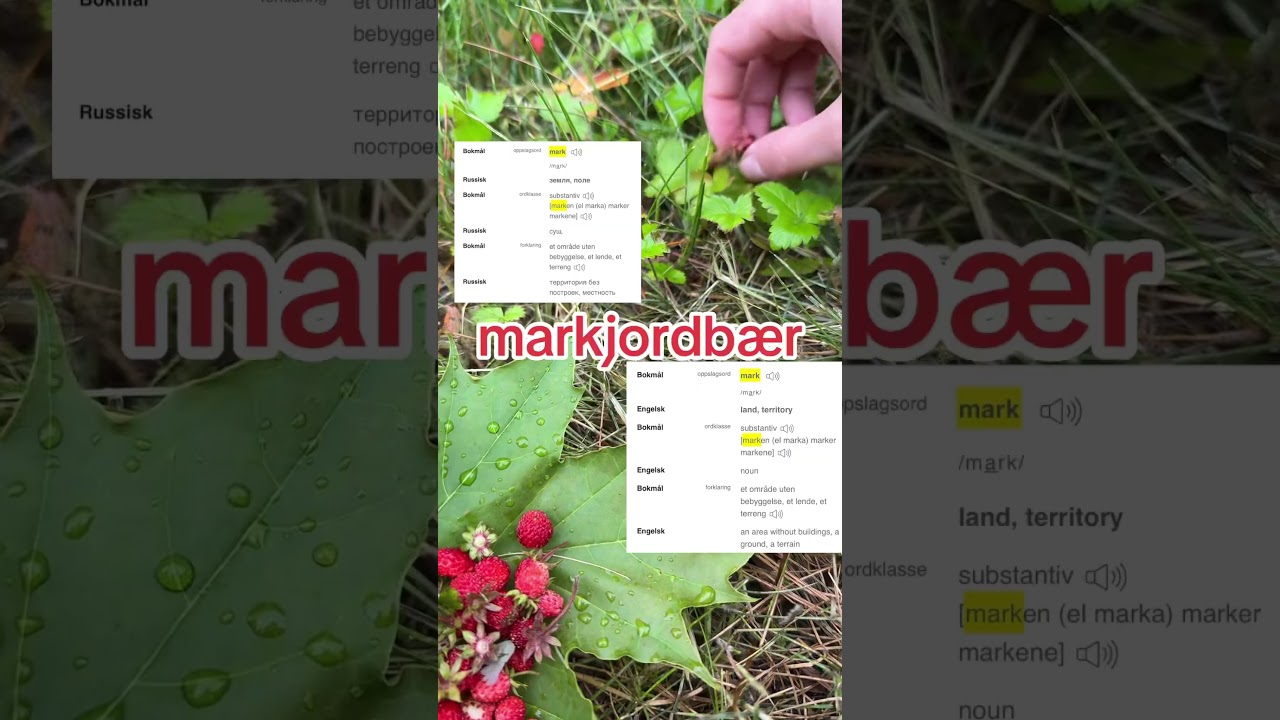 #нашивнорвегии