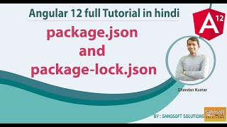 package.json and package-lock.json : Angular 12 Full Tutorial in Hindi