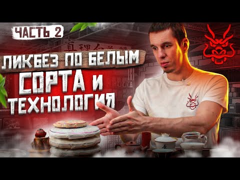 БЕЛЫЙ ЧАЙ: Сорта