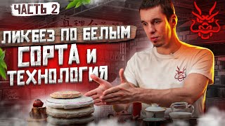 БЕЛЫЙ ЧАЙ: Сорта белого чая! Технология производства белого чая! Китайский чай! Часть 2