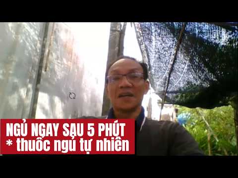 5 Thực Phẩm "Vàng" Thay Thế Thuốc Ngủ Tự Nhiên | Bí Quyết Ngủ Sâu Giấc