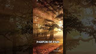 Respire l’automne #ASMR #ASMRNature #SonsRelaxants