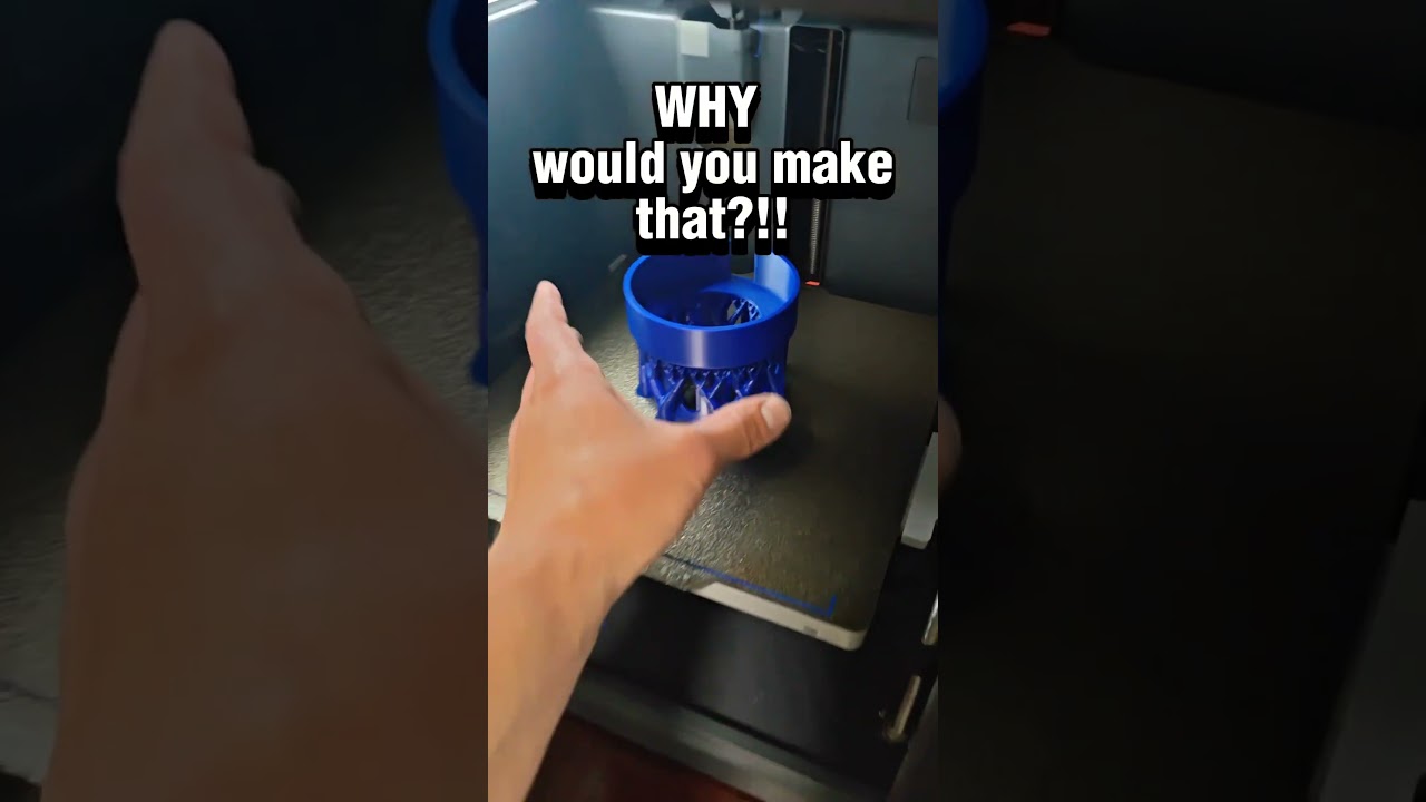 Why I 3D Printed This... (Dark Side Approved) 