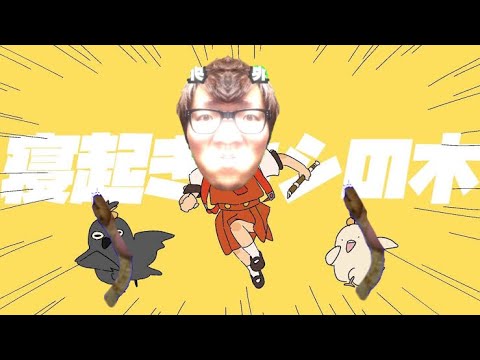 ヒカマニで寝起きヤシの木　#ヒカマニ