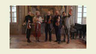 From Cremona to the World: happy World Violin Day!