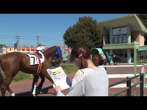 競馬エースＣＭ