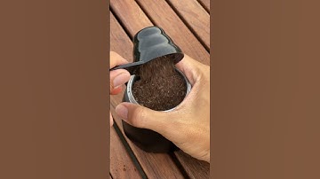 Thai tea #thaitea #tea #thailand