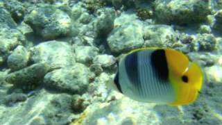 Sights of Obyan Beach, Saipan