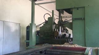 DINACO Log Cutting Line with brushing machine