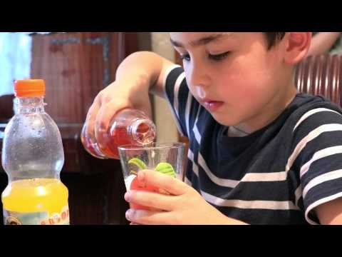 ა.ნ.ფუდ სერვისი