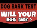 Dog Bark Test | This Sound Will Make Your Dogs Barking