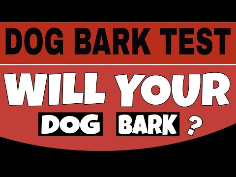 Video: Paano Gumawa Ng Dog Bark