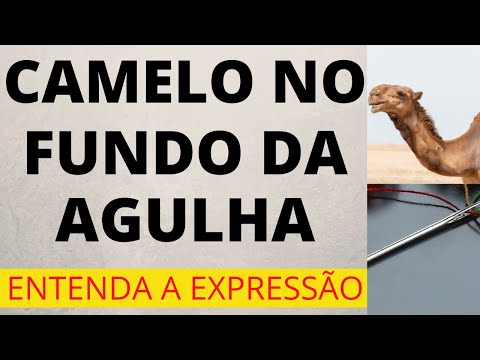 Vídeo: No significado da agulha?