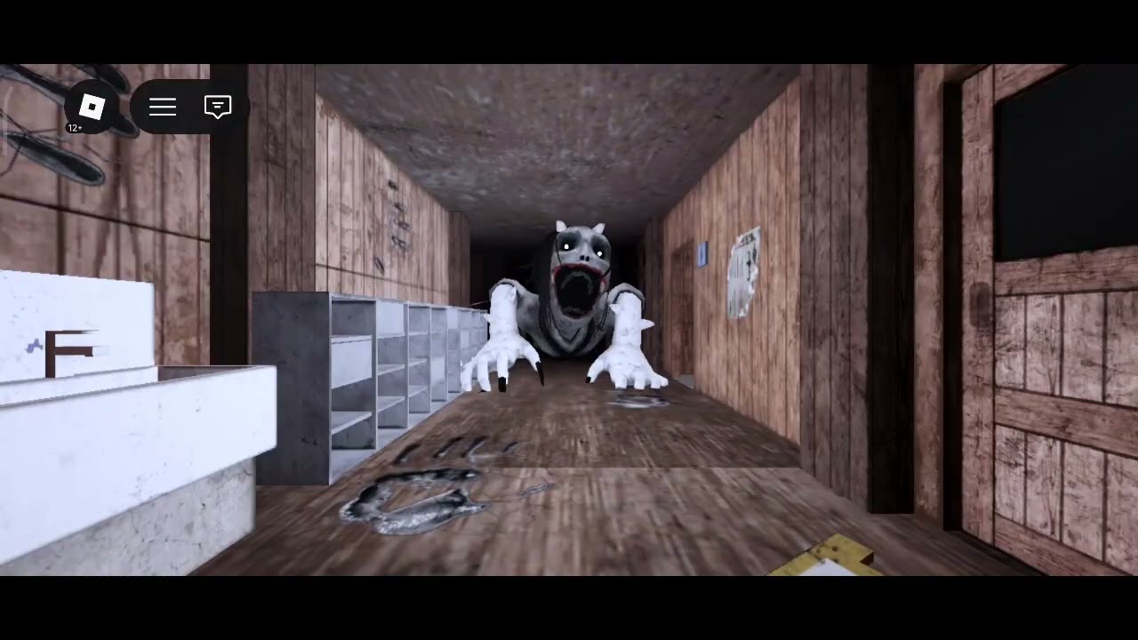 Đố bắt được em, không bắt được là mèo!!