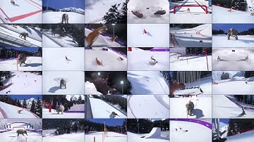 basic houdini snow trail + hip file