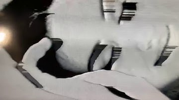 Fluxus Duo CloudBusting and The Seven Year Glitch . . By The Falling Girl