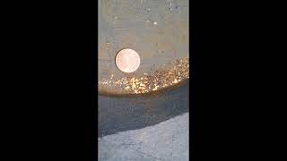 1/2 gram of Gold Paydirt