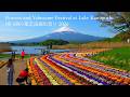 Lake Kawaguchi: Nemophila flowers at Oishi Park and the Yabusame Festival!