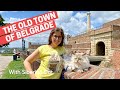 Walk with Siberian Cat trought the old city of Belgrade, Kalemegdan Fortress