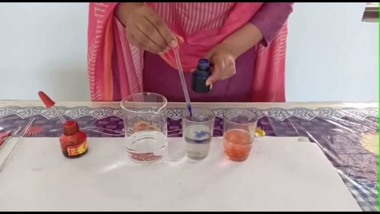 Activity 6 Transportation of water through stem in plants