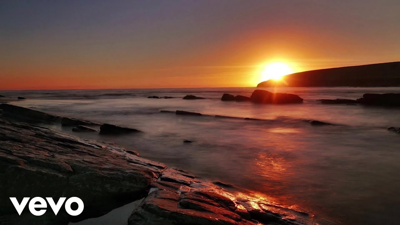 Wild Spark Publishing - Perception (Official Music Video)