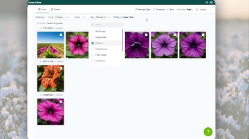 Image Gallery Module