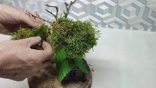 Поделки из доступных природных материалов своими руками.DIY.