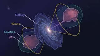 Dissecting Supermassive Black Holes: Pinpointing the Flows Video