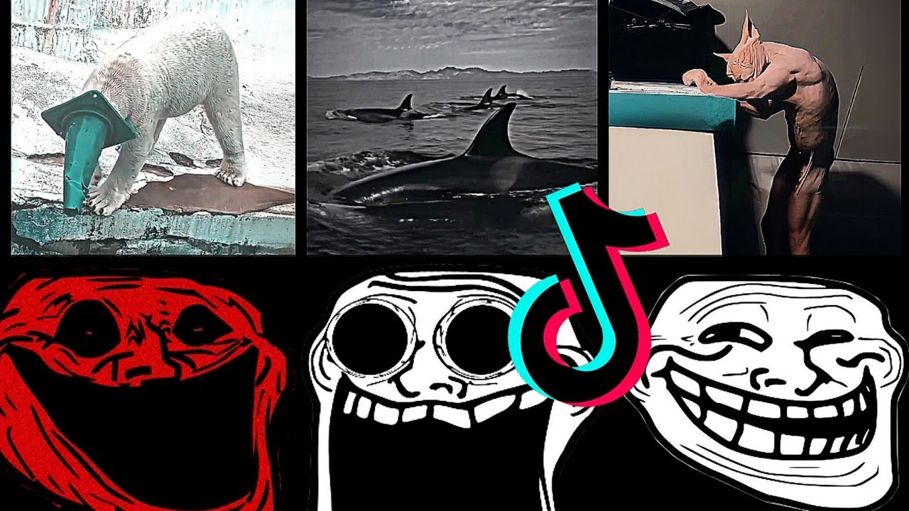 🥶 Coldest TrollFace Compilation 🥶 Troll Face Phonk Tiktoks 🥶 Coldest Moments Of All TIME #6