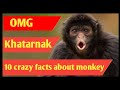 10 craziest facts about monkey 