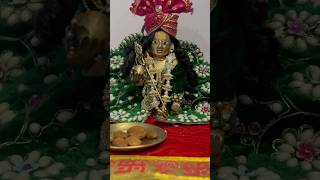 Krishna Ji Shringar Darshan 🙏✨❤️Aaj ka Divya Alankaar👏🏻Laddu Gopal Darshan#radhakrishna #krishna