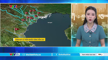 Dự báo thời tiết 5h30 - 03/10/2025 | Hôm nay lũ trên nhiều sông vẫn cao | VTVWDB