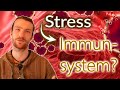 Wie wirken Stress &amp; Angst auf das Immunsystem? | Die spezifische und unspezifische Abwehr