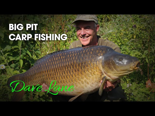 Dave Lane TX Bivvy – Abri De Pêche Pour Une Personne, Vert, Idéal Pour La Carpe