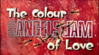 Little Angels - Colour of Love
