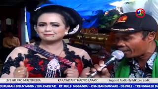 NARIMO - TAYUB TERBARU MADYO LARAS PAKEL PULE TRENGGALEK //LIVE BANGUNSARI PULE TRENGGALEK