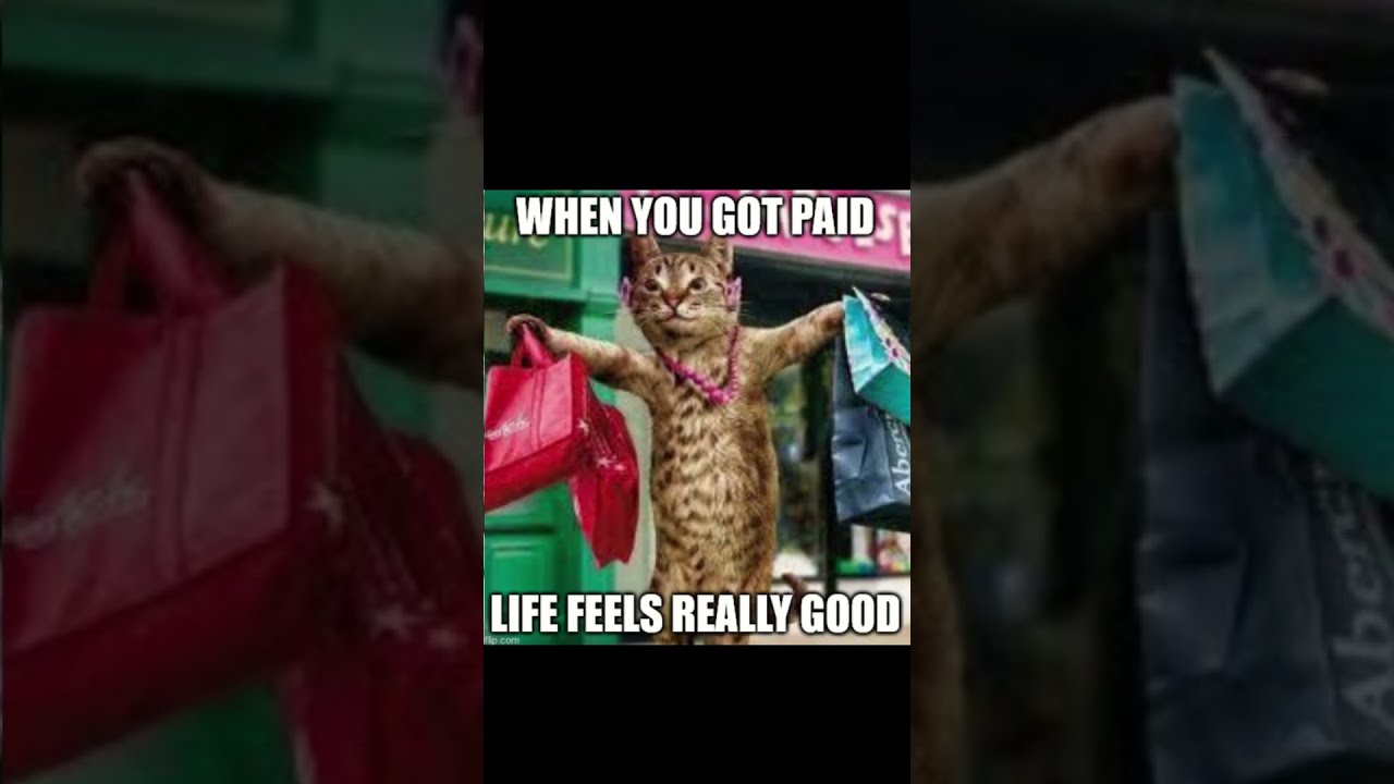 Meme Mania: When the Internet Goes Hilariously Wild! 4