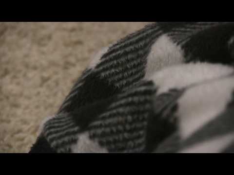 camera test pt 1