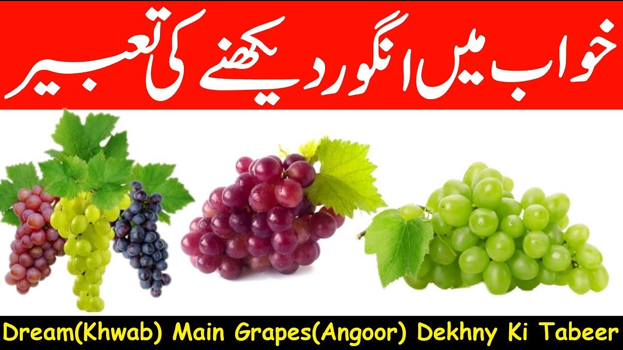 DREAM(khwab) Main Grapes(Angoor) Dekhny Ki Tabeer In Urdu & Hindi YouTube
