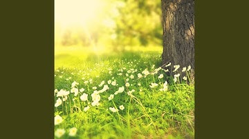 Modish Backdrops for Autumn Adventures