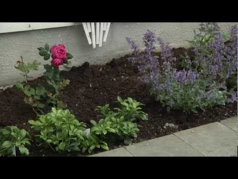 Video: Planlegging av hage og hage og hagetomt