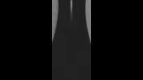 High-Speed Imaging of Drops and Bubbles: Supplemental Video 8