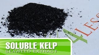 Kelp 4 less coupon